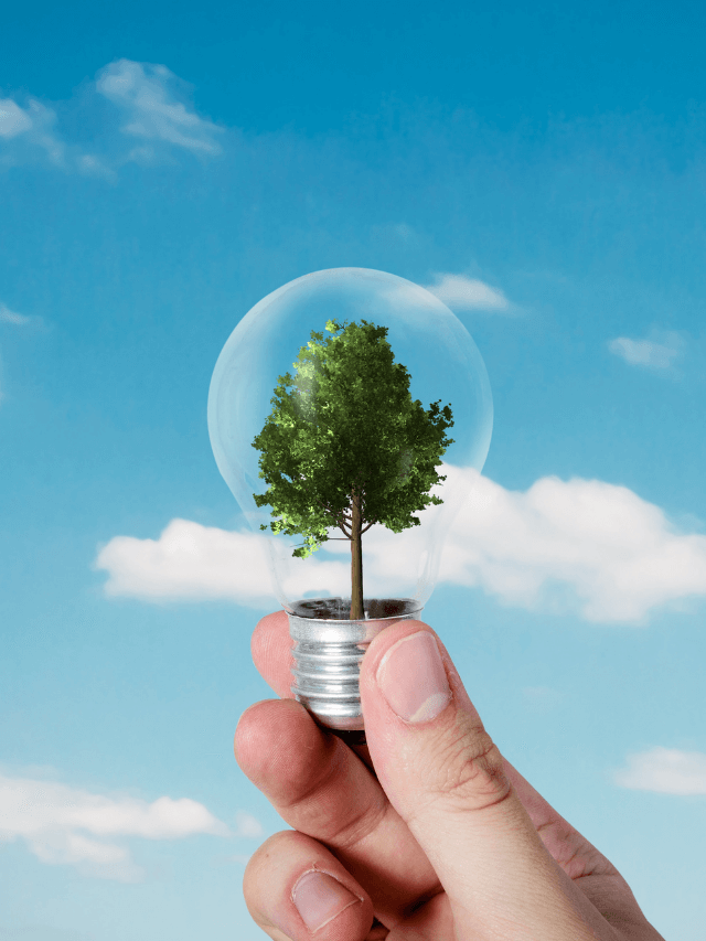 consultor eficiencia energetica consultor eficiencia energetica