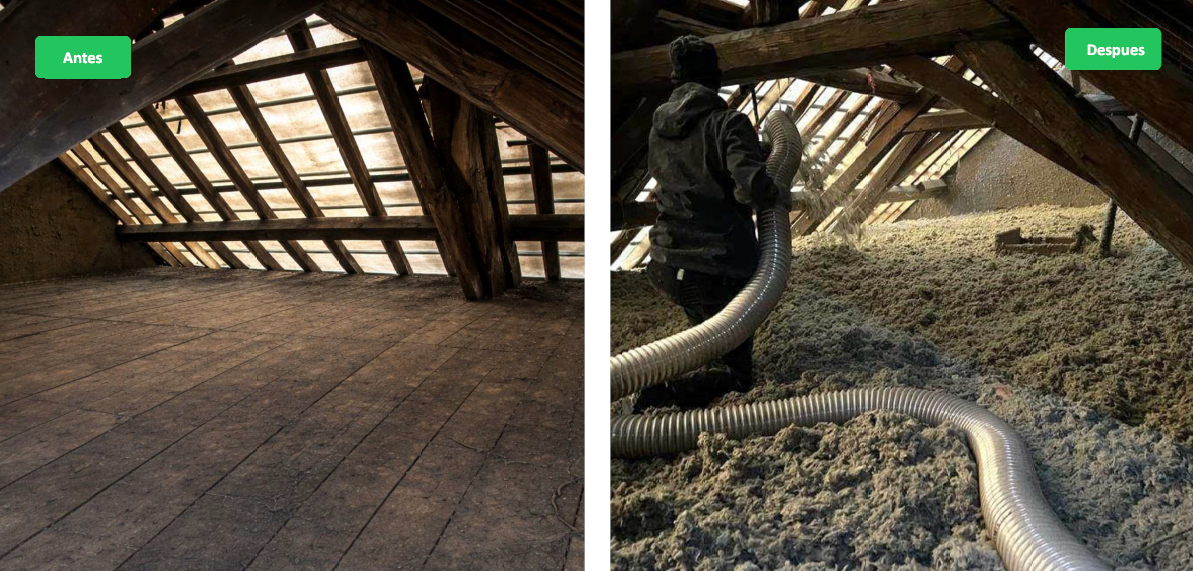 Captura de pantalla 2026 04 07 193037